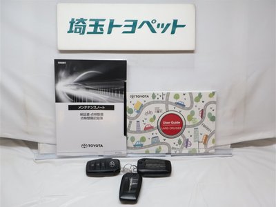 2024 Toyota LAND CRUISER 250 — миниатюра 37