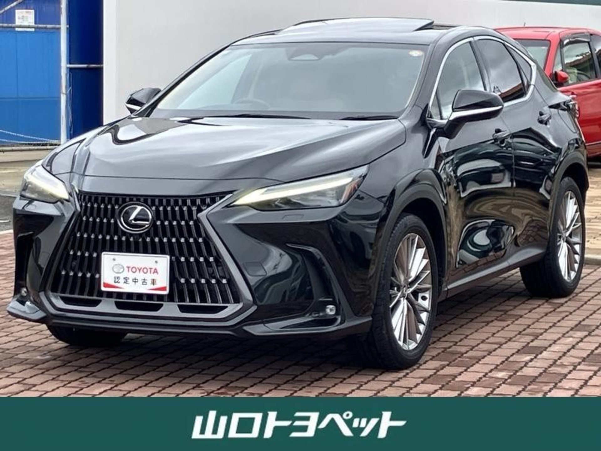 LEXUS NX - View 1
