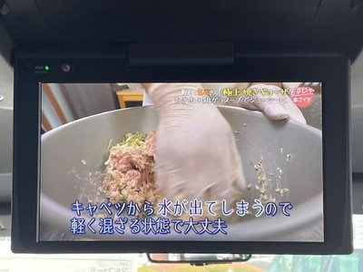 2025 TOYOTA ALPHARD 缩略图 11