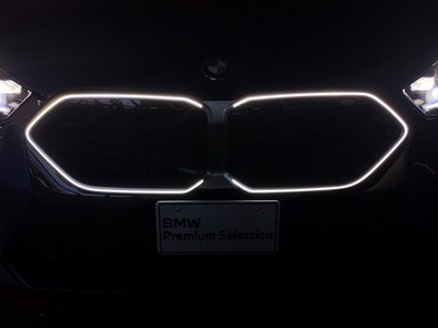2025 BMW X2 — миниатюра 24