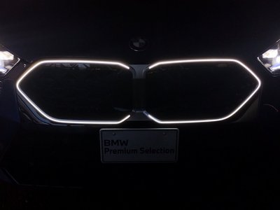 2025 BMW X2 — миниатюра 48