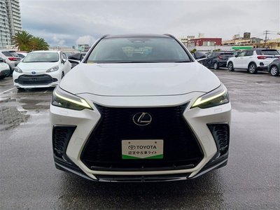 LEXUS NX - 10
