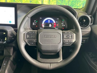 صورة مصغرة 12 لـ 2025 Toyota LAND CRUISER 250