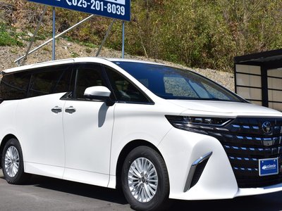 TOYOTA ALPHARD - 10