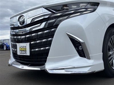 2025 TOYOTA ALPHARD thumbnail 13