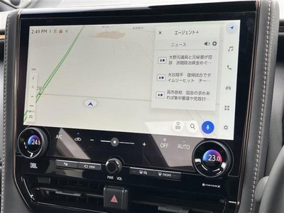 2025 TOYOTA ALPHARD thumbnail 28
