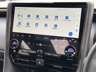 2025 TOYOTA ALPHARD thumbnail 31