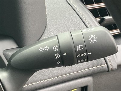 2025 TOYOTA ALPHARD thumbnail 45