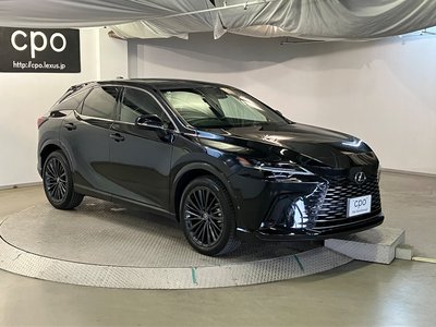 LEXUS RX - 6