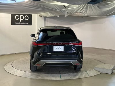 LEXUS RX - 10
