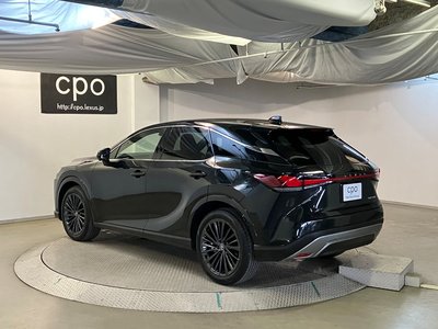 LEXUS RX - 9