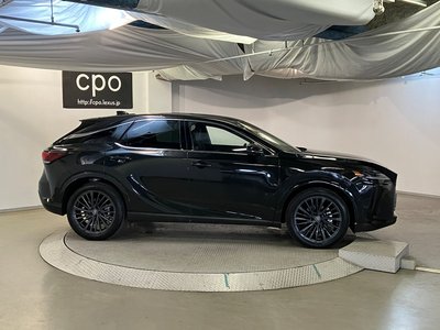 LEXUS RX - 8
