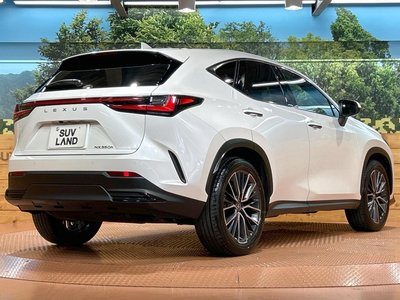 صورة مصغرة 17 لـ 2023 Lexus NX