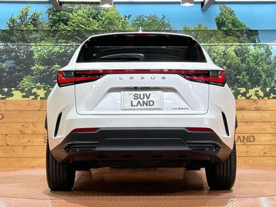 صورة مصغرة 15 لـ 2023 Lexus NX