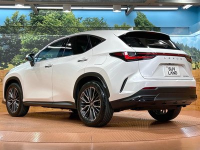 صورة مصغرة 29 لـ 2023 Lexus NX