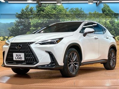صورة مصغرة 27 لـ 2023 Lexus NX