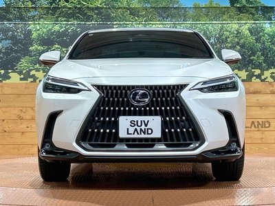 صورة مصغرة 14 لـ 2023 Lexus NX