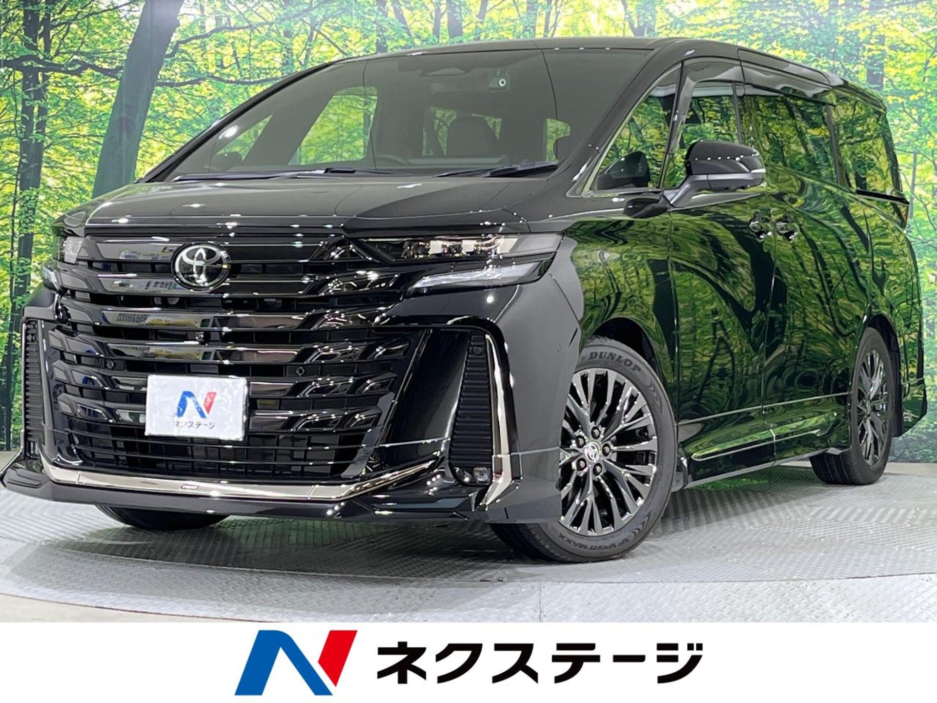TOYOTA VELLFIRE - View 1