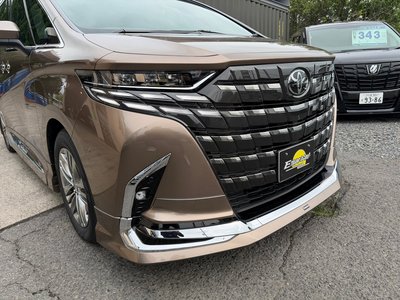 2026 TOYOTA ALPHARD thumbnail 16