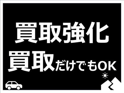 2026 TOYOTA ALPHARD photo 4