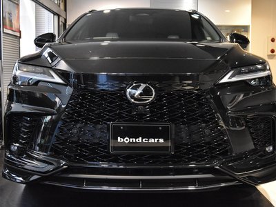 2025 Lexus RX 照片 6