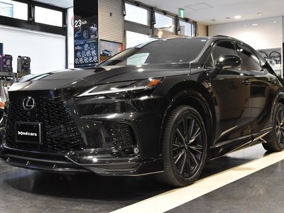 2025 Lexus RX 照片 1