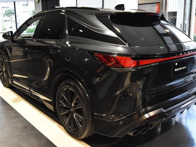 2025 Lexus RX 照片 10