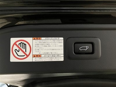 2021 Toyota ALPHARD 缩略图 14