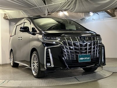 2021 Toyota ALPHARD 照片 3