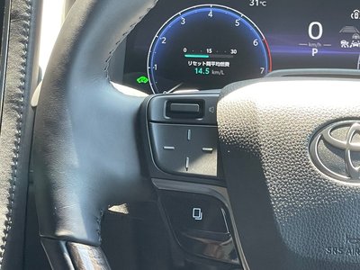 2025 TOYOTA ALPHARD — миниатюра 29