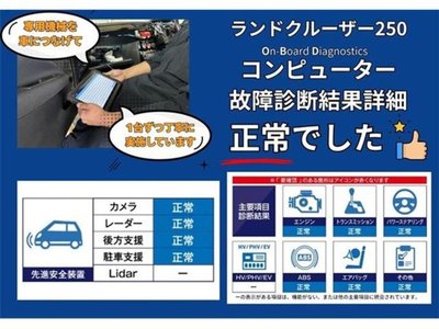 TOYOTA LAND CRUISER 250 - 3