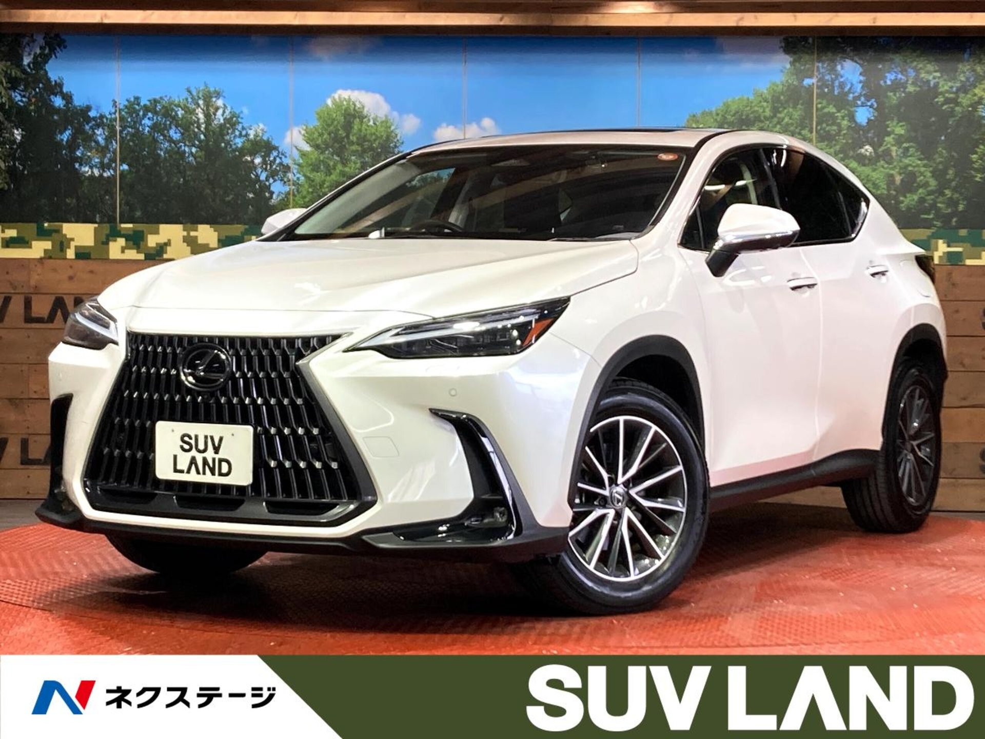 LEXUS NX - View 1