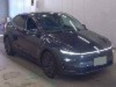 2025 Tesla MODEL Y — фото 1