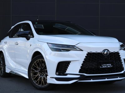 LEXUS RX - 6