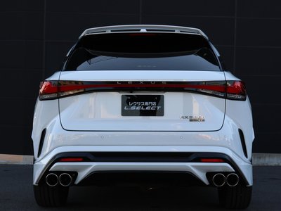 LEXUS RX - 9