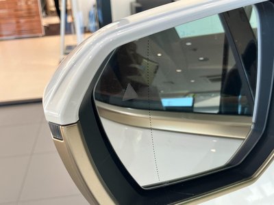 2025 BMW IX 缩略图 71