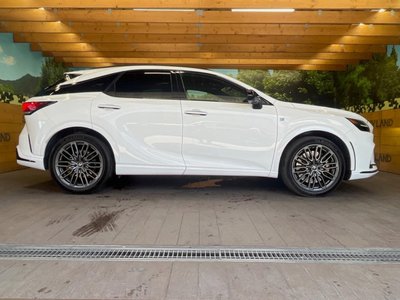 2023 Lexus RX 缩略图 57