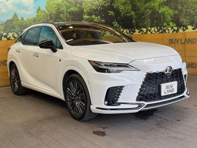 2023 Lexus RX 缩略图 16