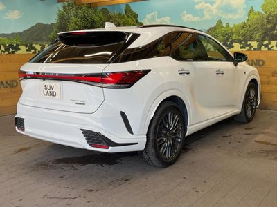 2023 Lexus RX 缩略图 17