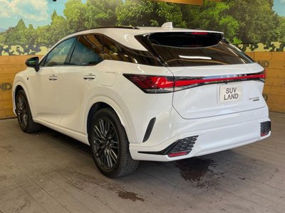 2023 Lexus RX 缩略图 59