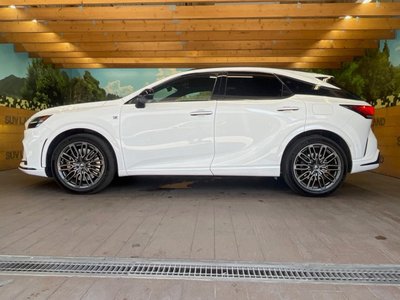 2023 Lexus RX 缩略图 56