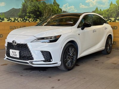 2023 Lexus RX 缩略图 55