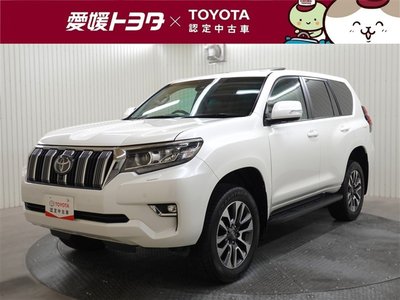 TOYOTA LAND CRUISER PRADO - 1