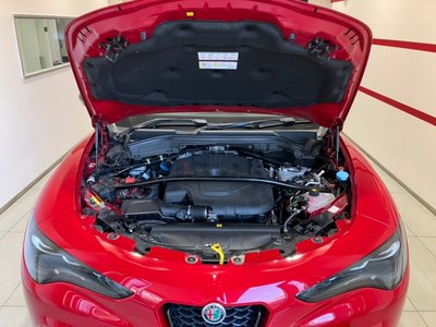صورة مصغرة 11 لـ 2024 ALFA Romeo STELVIO