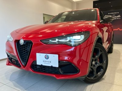 2024 ALFA Romeo STELVIO — фото 7