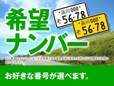2024 Toyota LAND CRUISER 250 thumbnail 162