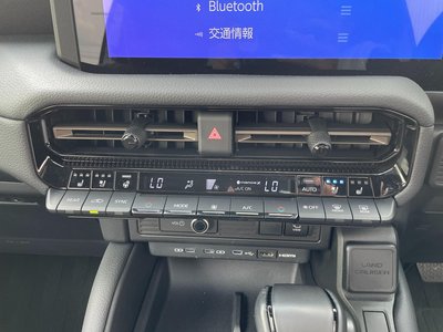 2024 Toyota LAND CRUISER 250 thumbnail 73