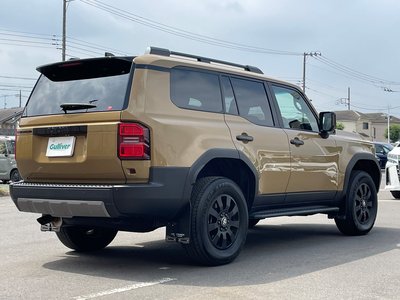 2024 Toyota LAND CRUISER 250 thumbnail 138