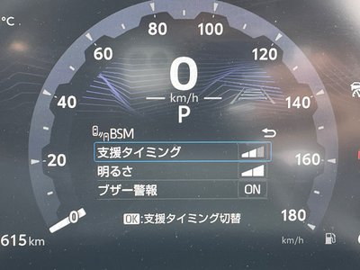 2024 Toyota LAND CRUISER 250 thumbnail 14