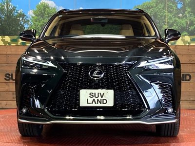 2025 Lexus NX — миниатюра 14